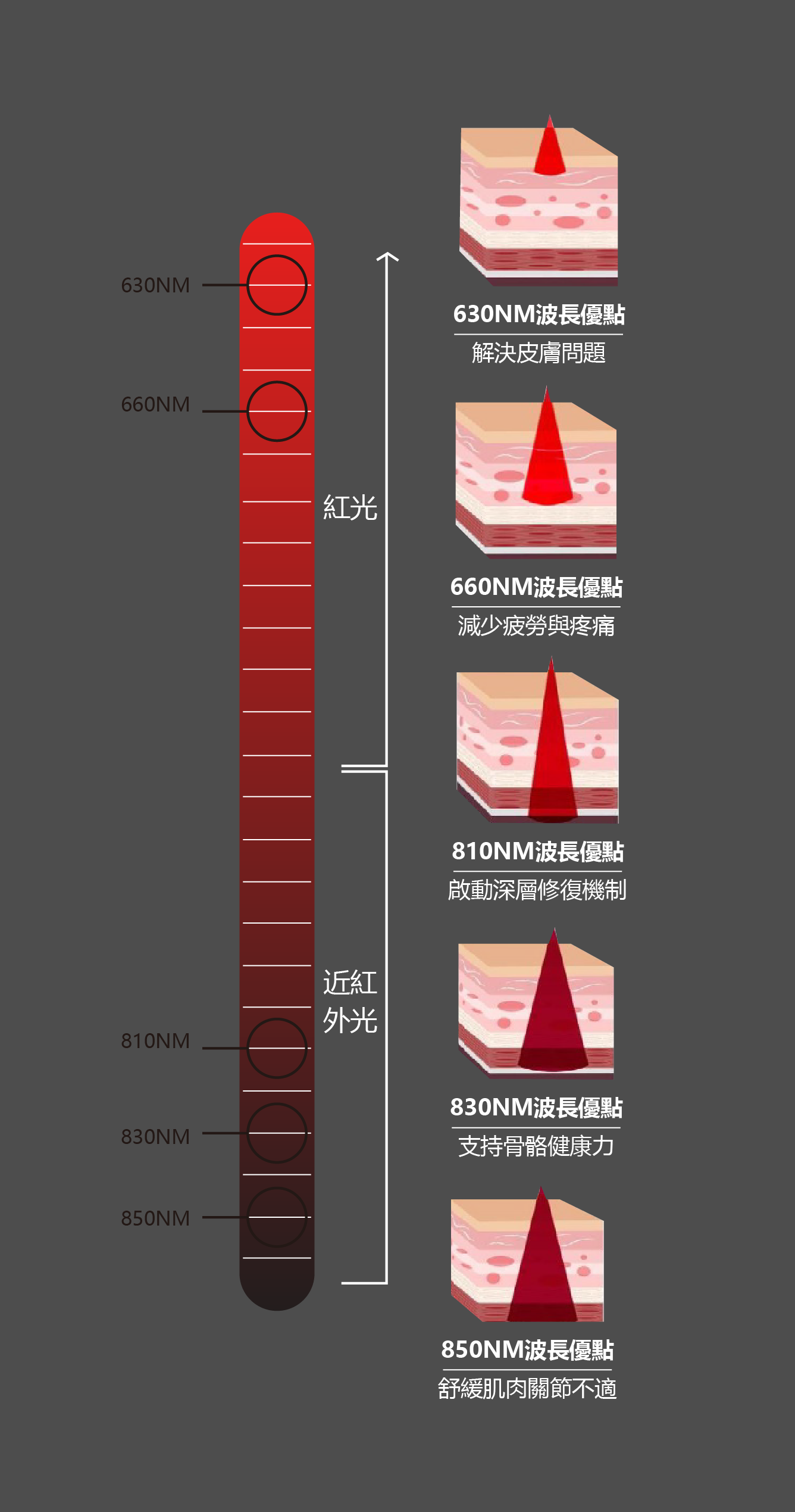 近紅外光波長應用說明