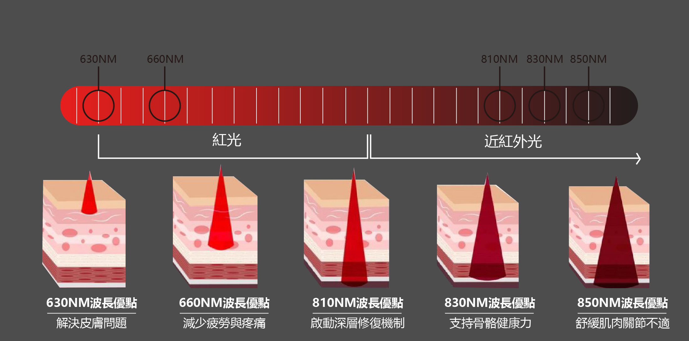 近紅外光波長應用說明